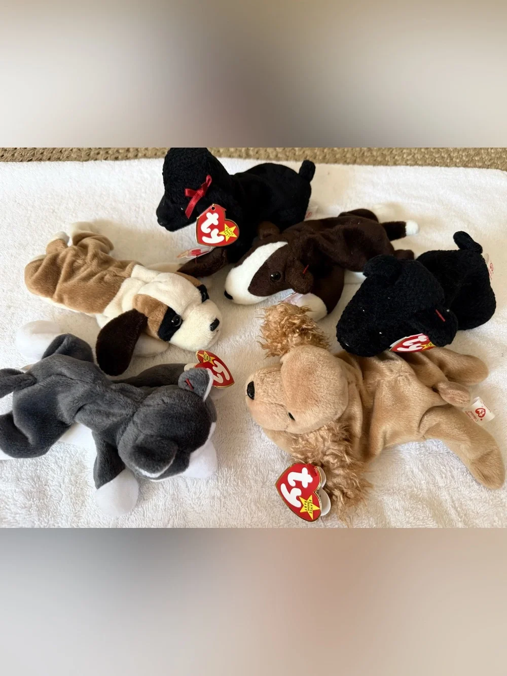 6 Vintage Ty Dog Beanie Babies w Tags MWMT